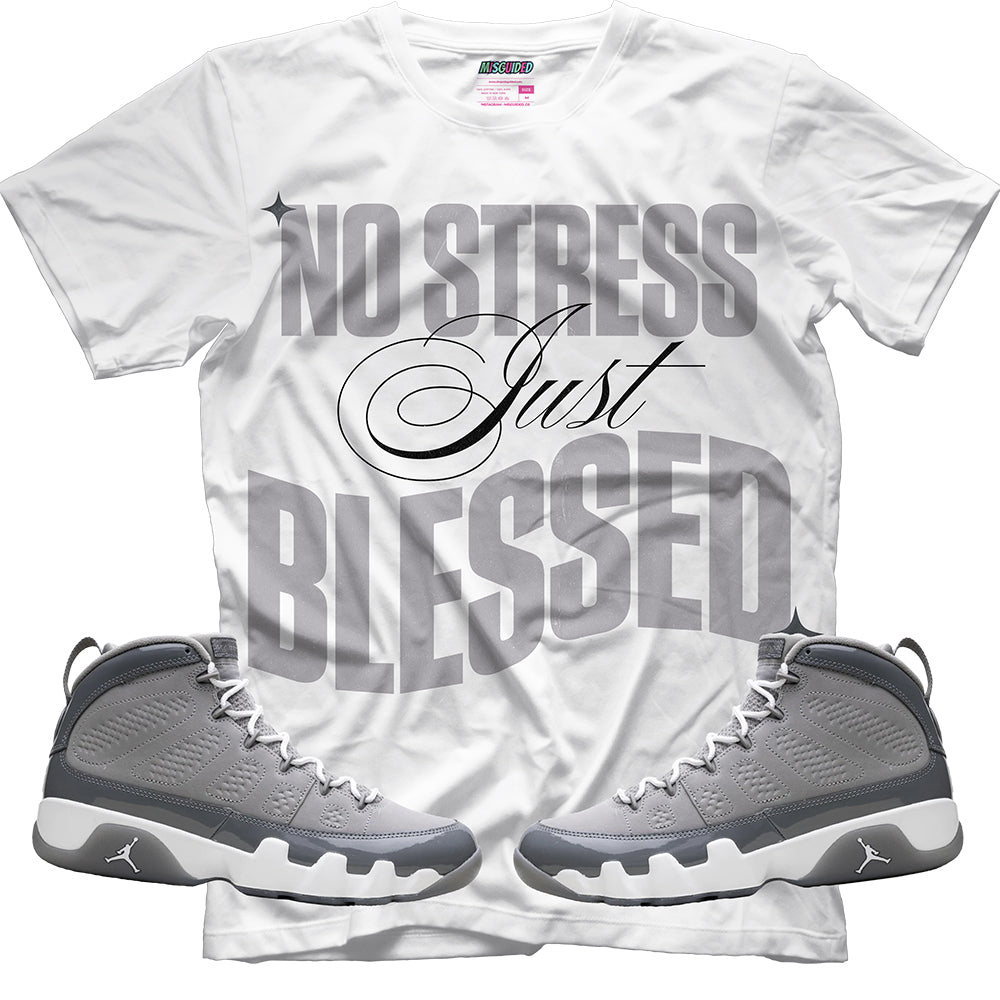 No Stress Just Blessed (Air Jordan 9 Cool Grey) T-Shirt - Lucid Soles