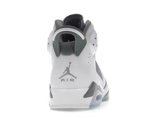 Air Jordan Retro 6 Cool Grey - Lucid Soles
