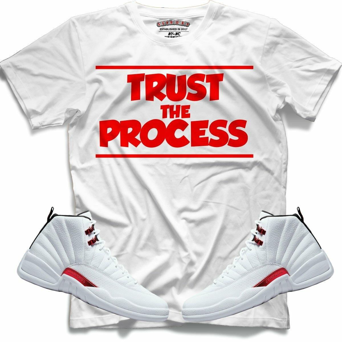 Trust the Process (Air Jordan Retro 12 Twist) T-Shirt - Lucid Soles