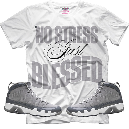 No Stress Just Blessed (Air Jordan 9 Cool Grey) T-Shirt - Lucid Soles