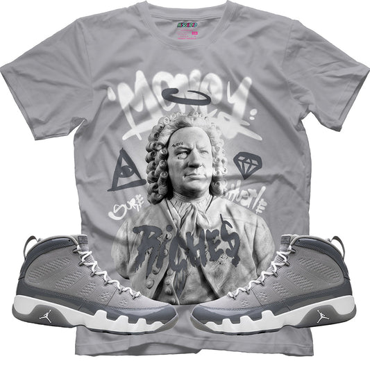 Riches (Air Jordan 9 Cool Grey) T-Shirt - Lucid Soles