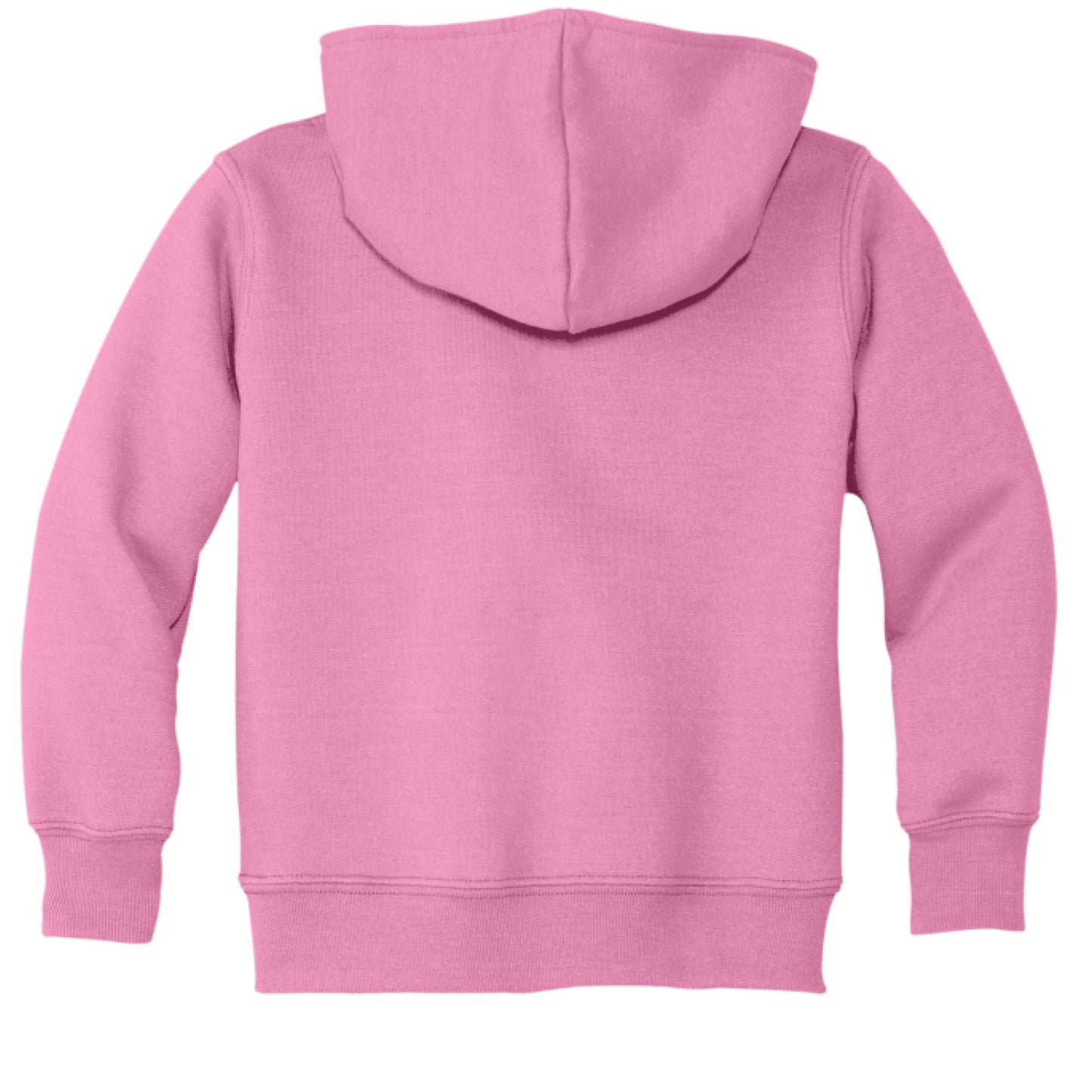 Lucid Soles Logo Hoodie (Toddler) - Lucid Soles