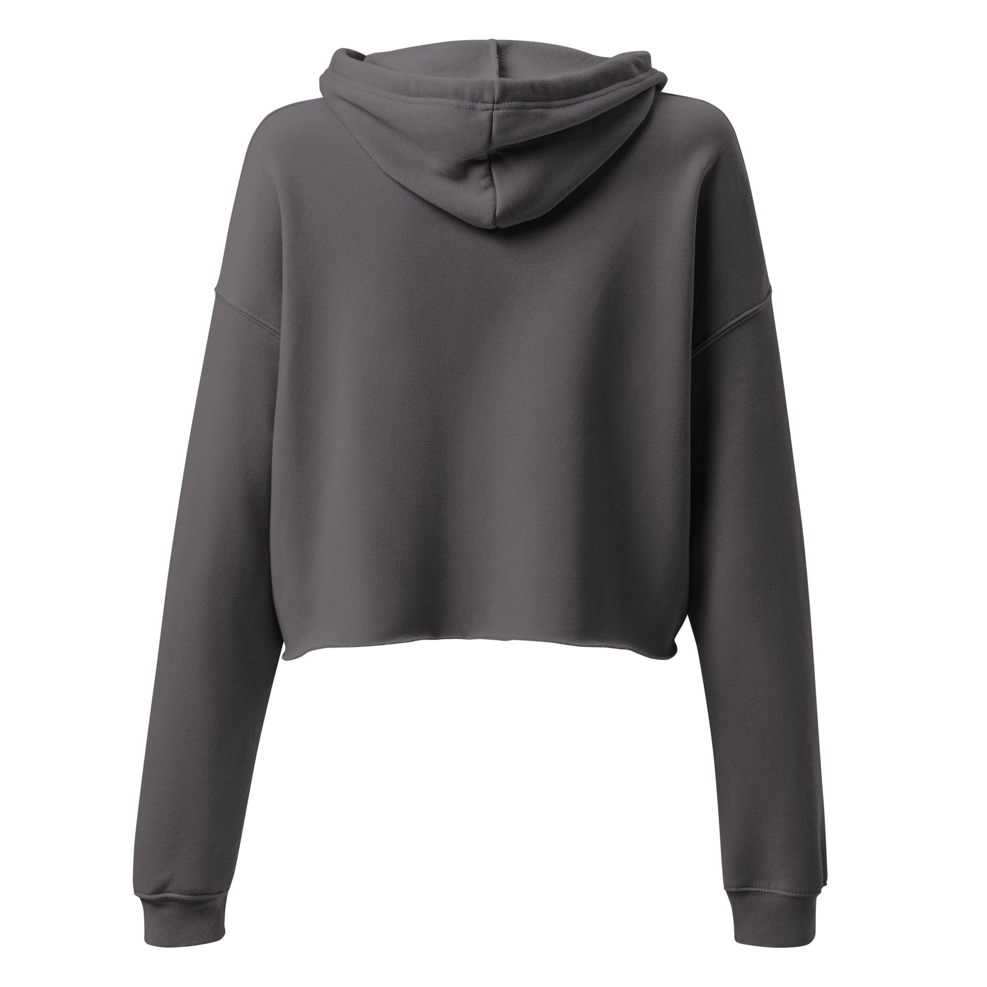 LUCID SOLES GRAPHIC CROP TOP HOODIE (WOMEN'S) - Lucid Soles