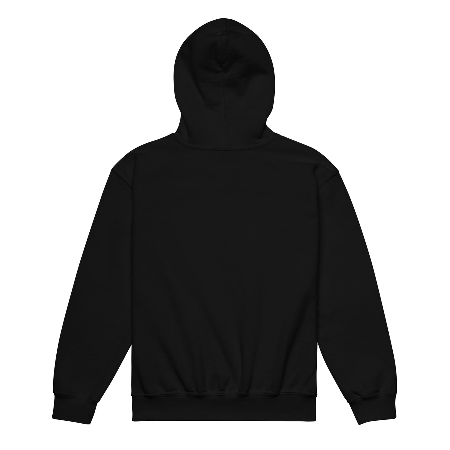 LUCID SOLES GRAPHIC HOODIE (YOUTH) - Lucid Soles