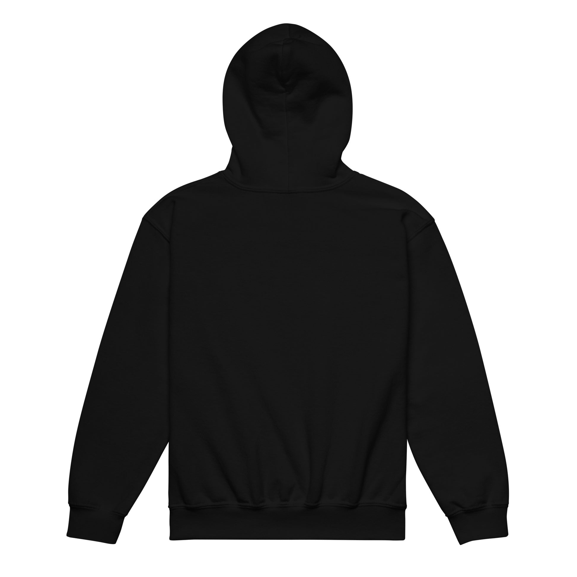 LUCID SOLES GRAPHIC HOODIE (YOUTH) - Lucid Soles