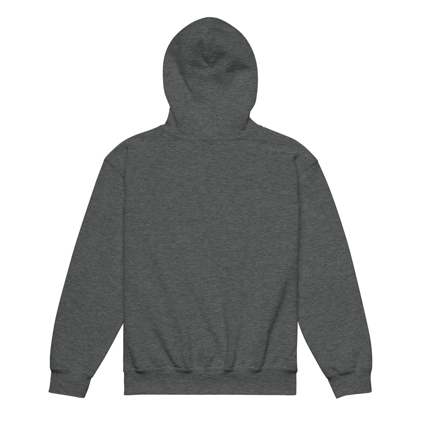 LUCID SOLES GRAPHIC HOODIE (YOUTH) - Lucid Soles