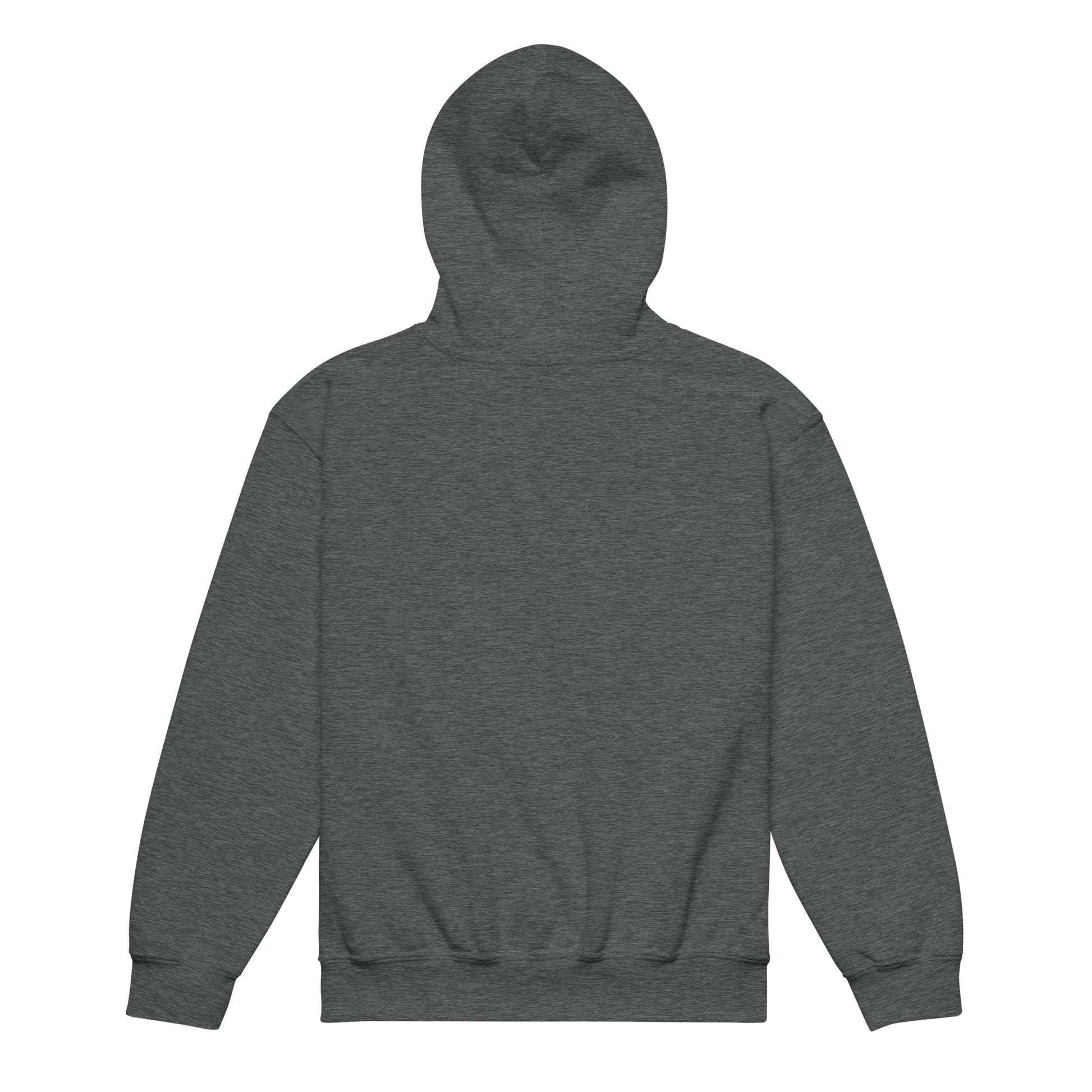 LUCID SOLES GRAPHIC HOODIE (YOUTH) - Lucid Soles