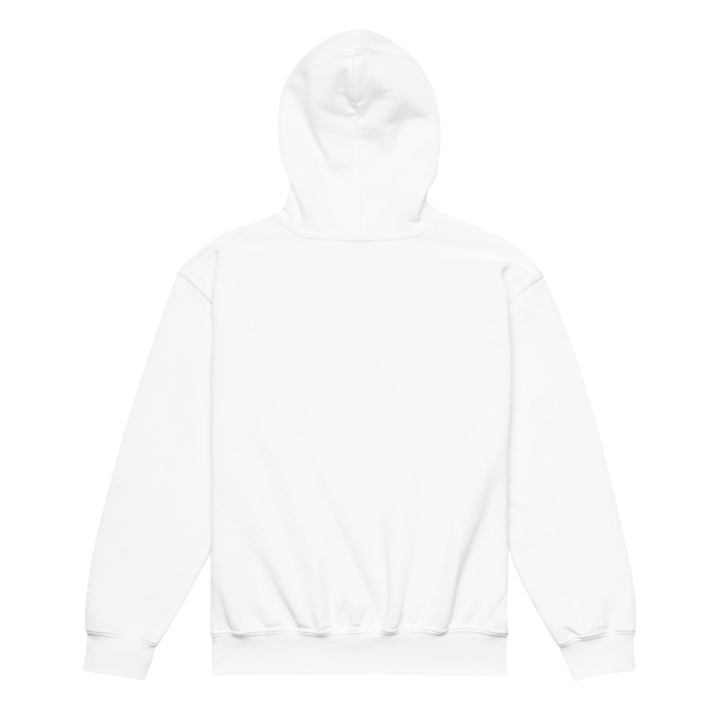 LUCID SOLES GRAPHIC HOODIE (YOUTH) - Lucid Soles